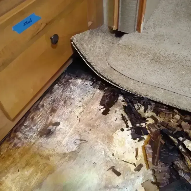 Wood Floor Water Damage in Oxnard, CA